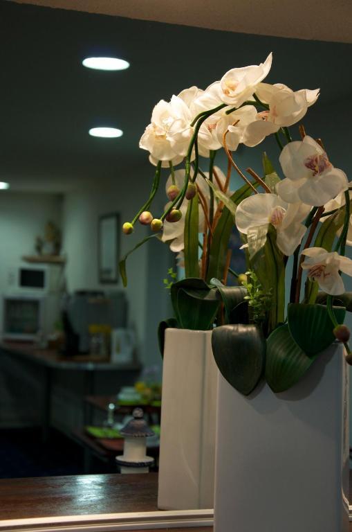 Hotel Aer Vieille-Toulouse Екстер'єр фото